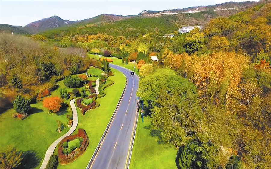 大连:打造令人留恋向往的“文化老城”