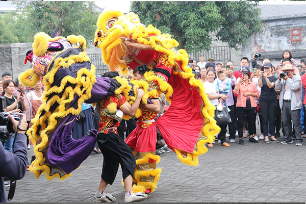 【看“蚝”钦州】2020年钦州蚝情节最炫舞狮：舞狮队在2.5米梅花桩上表演高难度动作