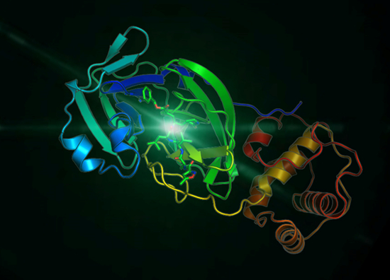 【中国青年报】九问新型冠状病毒
