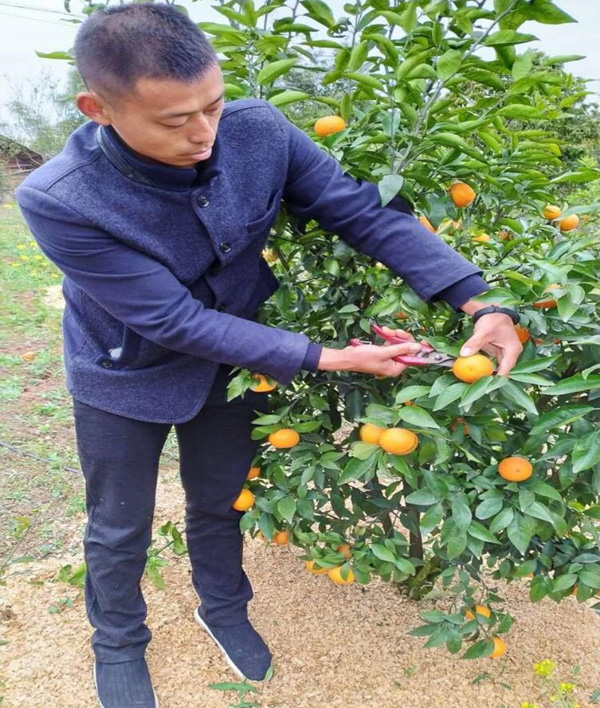 图片默认标题_fororder_选择返乡创业的农民工黄吉彬