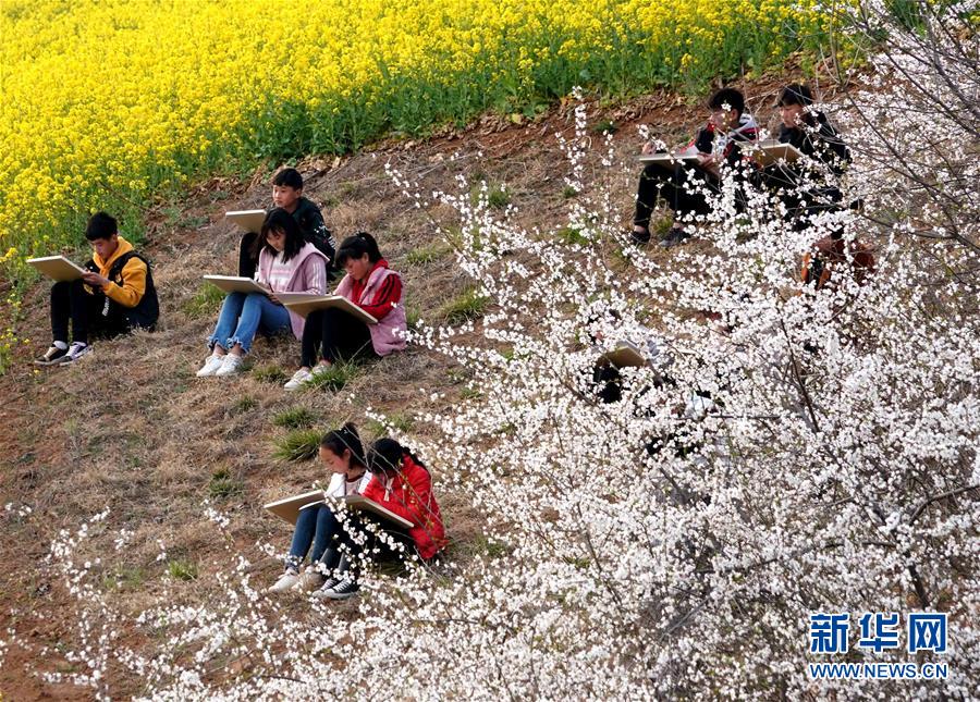 河南洛宁：春日寻芳 多彩山乡