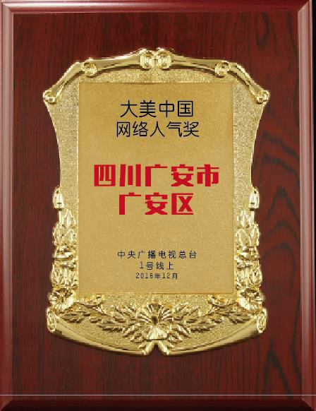 图片默认标题_fororder_“大美中国·网络人气奖”奖章-（摄影-廖小兵）