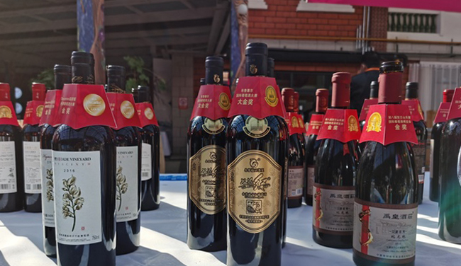 【観察眼】賀蘭山東麓 天・地・人が育む中国ワイン産業の新世界