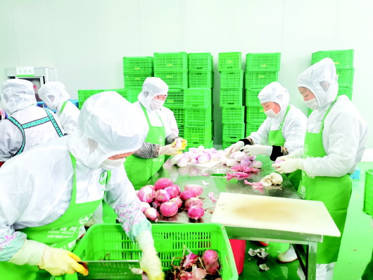 （中首）西秀区:净菜工厂延伸蔬菜产业链