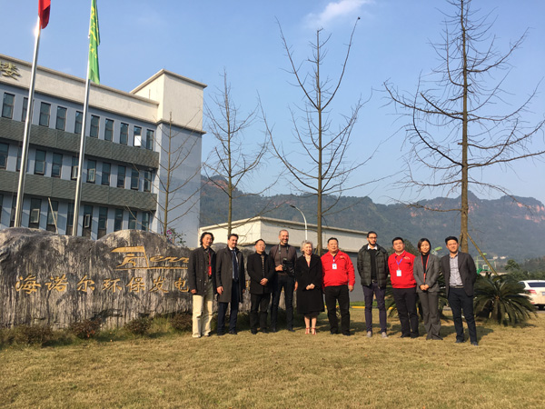 图片默认标题_fororder_意大利考察团考察海诺尔环保发电有限公司