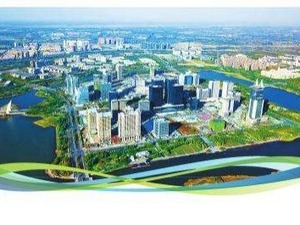 统筹利用国际国内两个市场助力改革开放取得成功