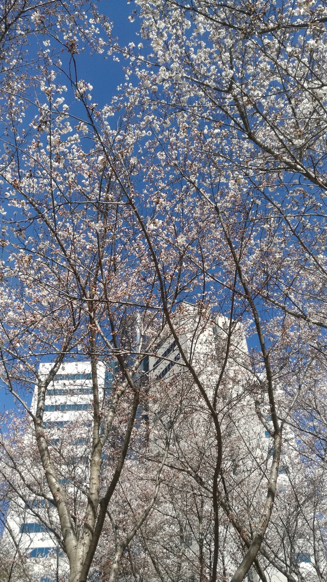 图片默认标题_fororder_1417309161