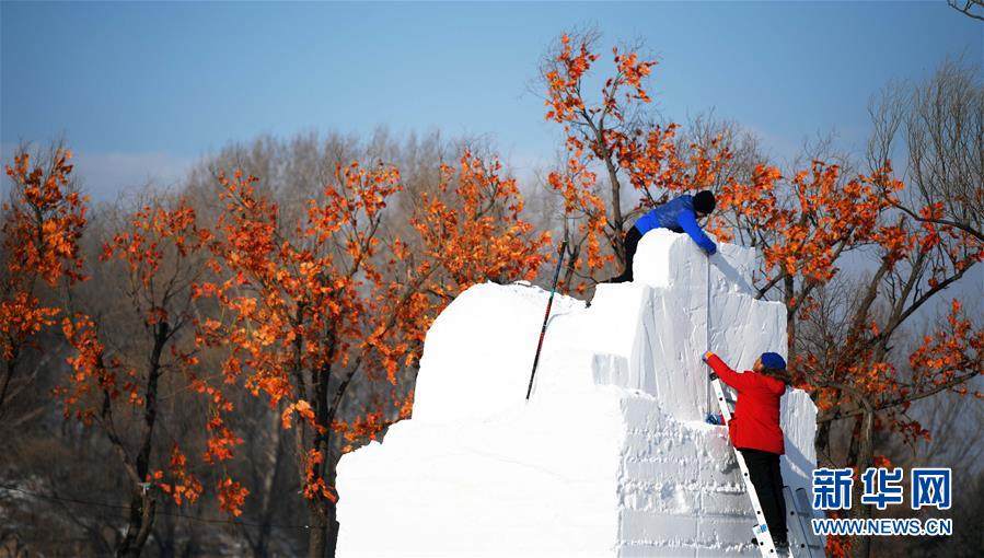 哈尔滨：太阳岛首届国际艺术精英雪雕邀请赛开铲