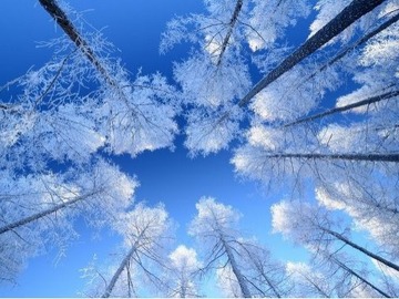 2018年12月19日放送のお便り紹介