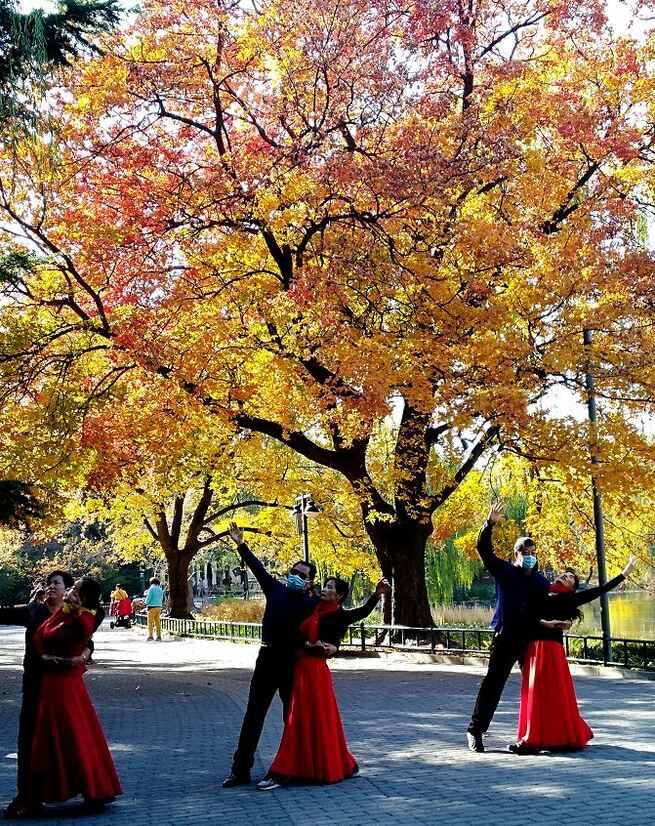 11月10日 火曜日_fororder_捕获.JPG