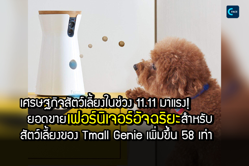 “เศรษฐกิจสัตว์เลี้ยง” ในช่วง 11.11 มาแรง! ยอดขายเฟอร์นิเจอร์อัจฉริยะสำหรับสัตว์เลี้ยงของเทียนเมาจิงหลิง (Tmall Genie) เพิ่มขึ้น 58 เท่า