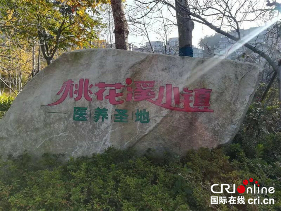英山桃花溪康养小镇