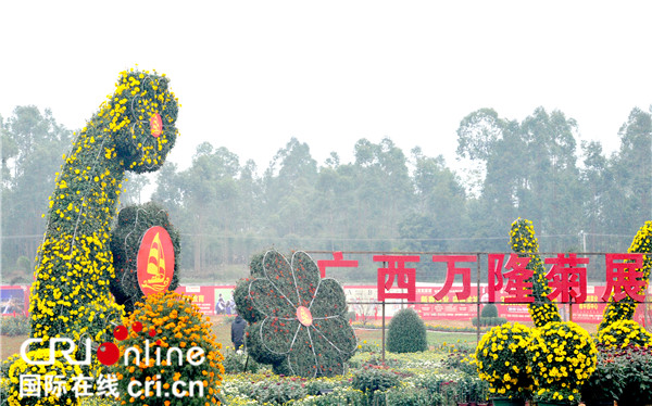 广西桂平打造菊花盛会 推动全域旅游经济发展