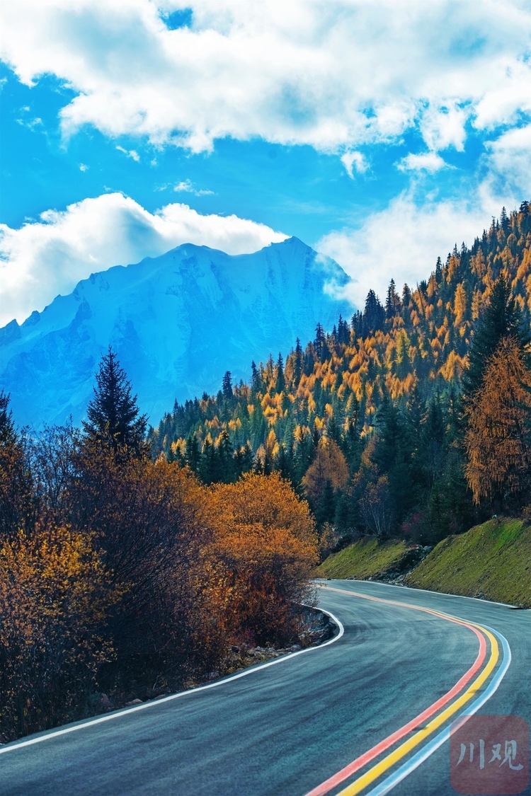 四川的秋天有多美|只一眼、再难忘,魅力无限的亚拉秋色
