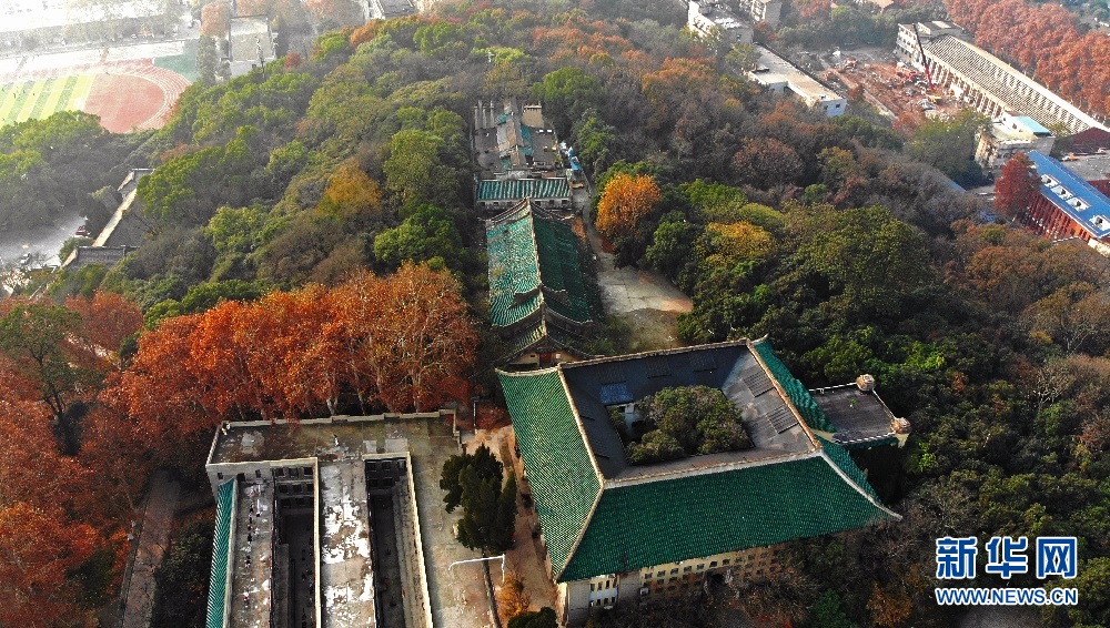 航拍初冬武汉大学 各色树木与校园古建相映成景