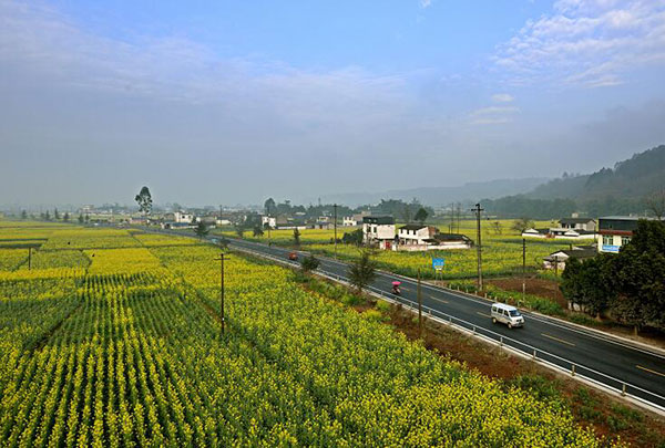 天府之春②眉山彭山春来了赏花去