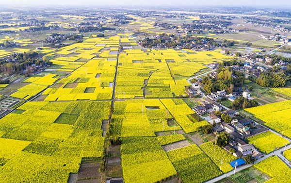 图片默认标题_fororder_1