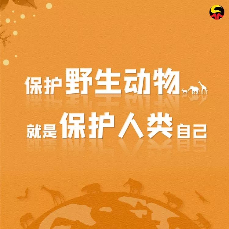 检察日报：保护野生动物，就是保护人类自己！转发让更多人看到！