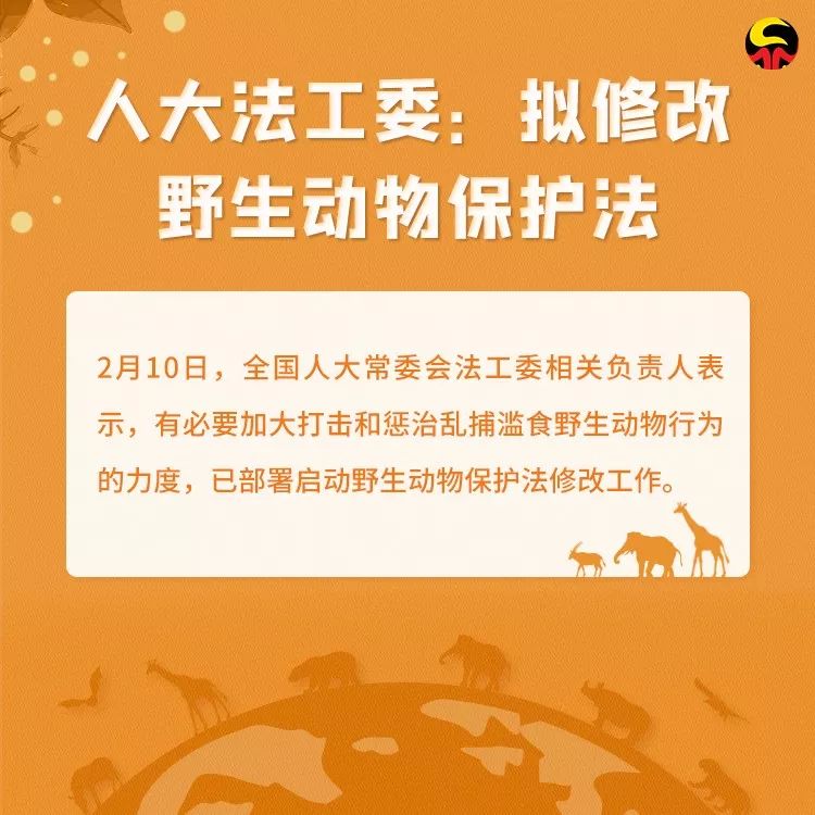 检察日报：保护野生动物，就是保护人类自己！转发让更多人看到！