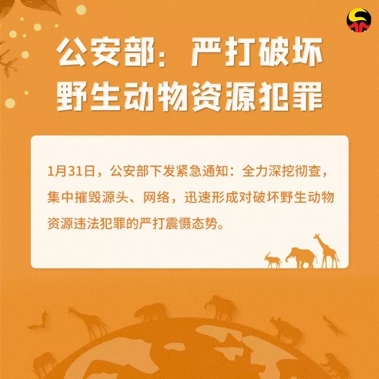 检察日报：保护野生动物，就是保护人类自己！转发让更多人看到！