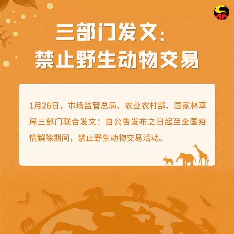 检察日报：保护野生动物，就是保护人类自己！转发让更多人看到！