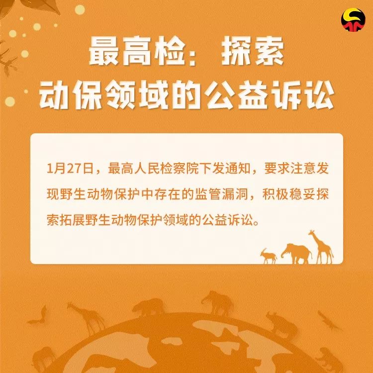 检察日报：保护野生动物，就是保护人类自己！转发让更多人看到！