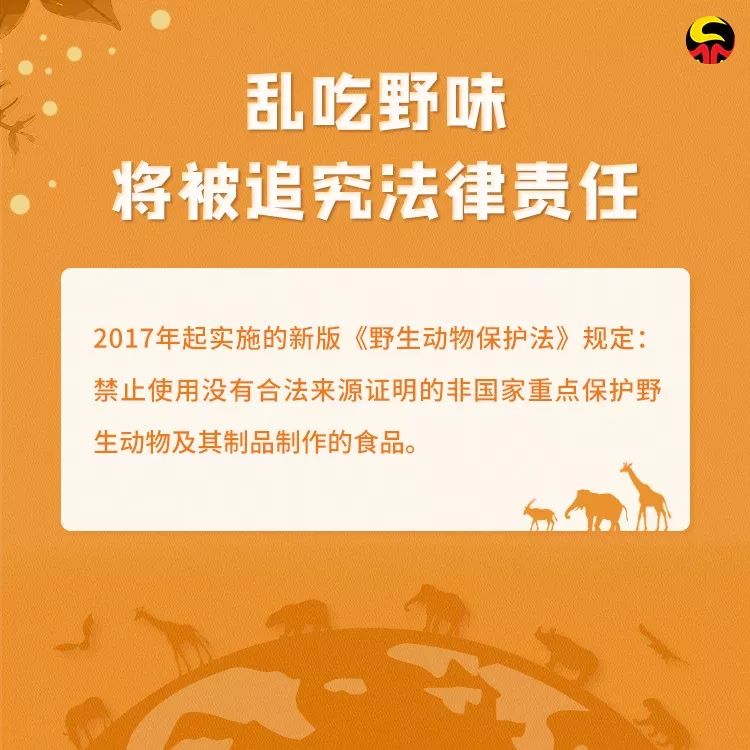 检察日报：保护野生动物，就是保护人类自己！转发让更多人看到！