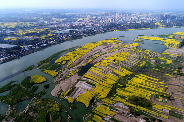 图片默认标题_fororder_5