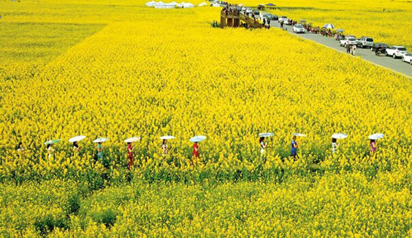 图片默认标题_fororder_7