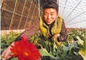 锦州花卉产业富了七里河