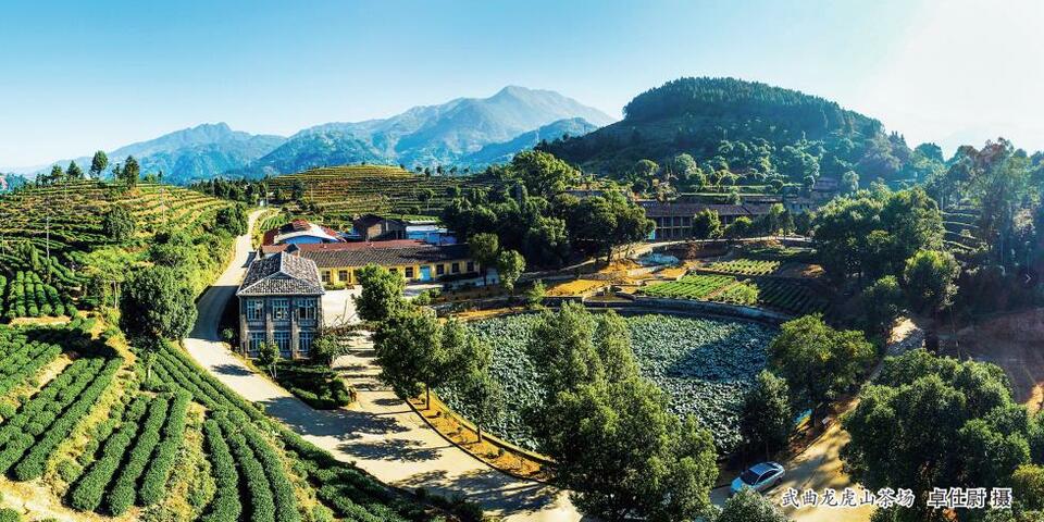 寿宁武曲的乡村叙事