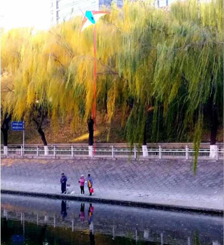 11月17日 火曜日_fororder_pingwenzhi.JPG