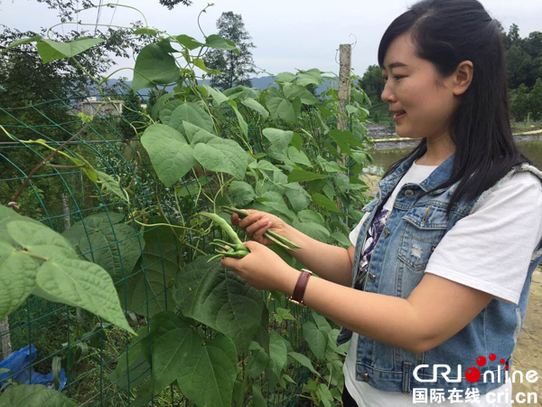 图片默认标题_fororder_6