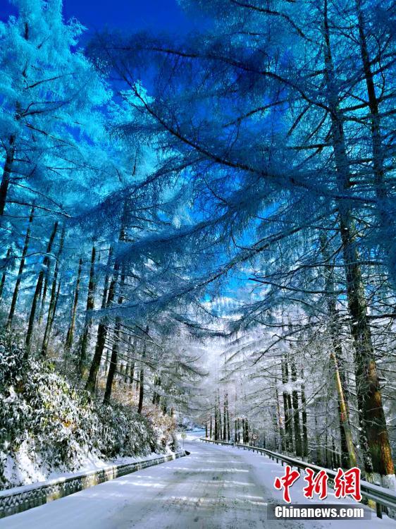 图片默认标题_fororder_linhai2