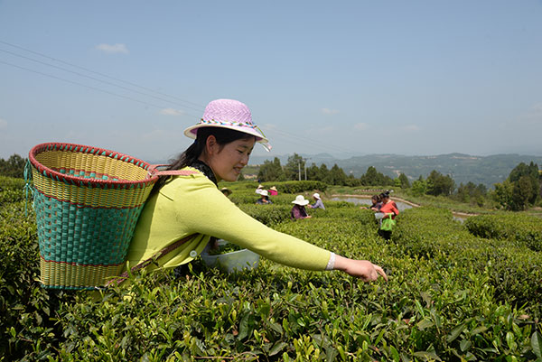 图片默认标题_fororder_3