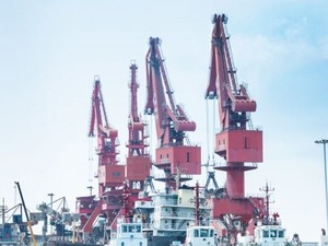 为什么中国坚持开放？习近平用实践告诉你