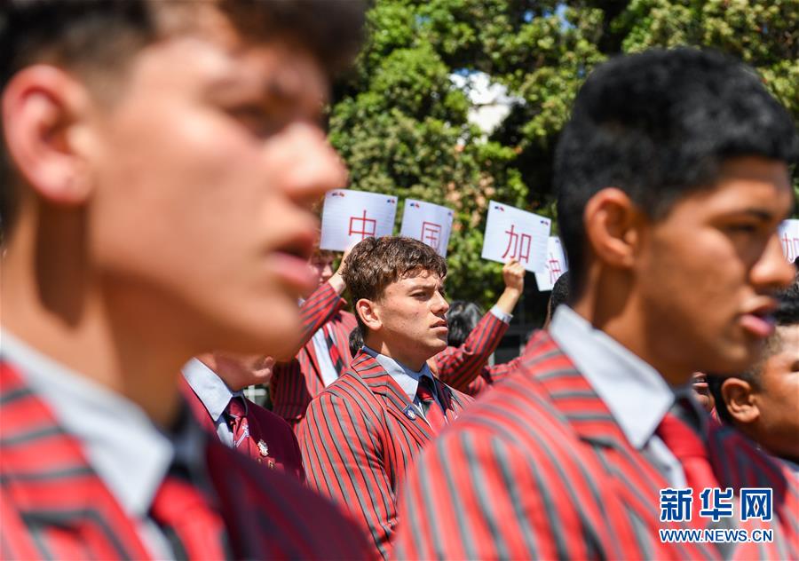 新西兰惠灵顿斯科特中学学生跳哈卡战舞为中国“战疫”祈福