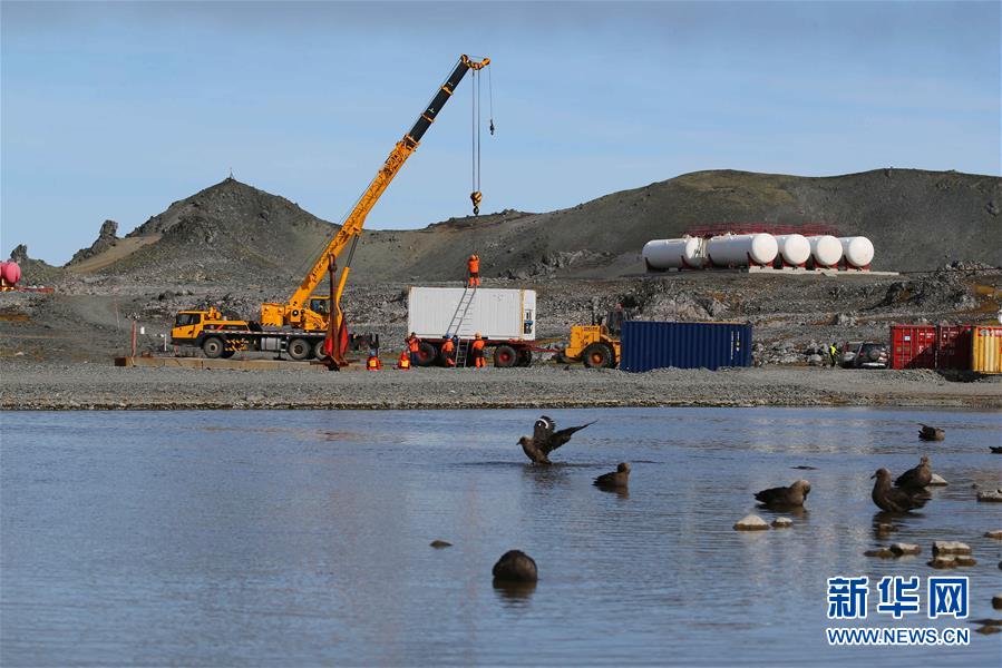 [新华网]与自然和谐相处：南极长城站的企鹅与贼鸥