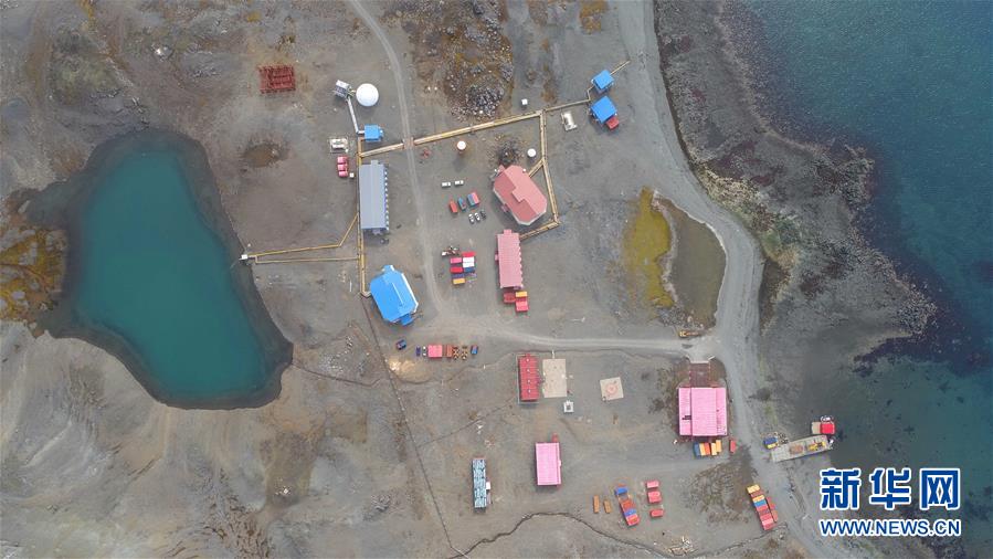 [新华网]与自然和谐相处：南极长城站的企鹅与贼鸥