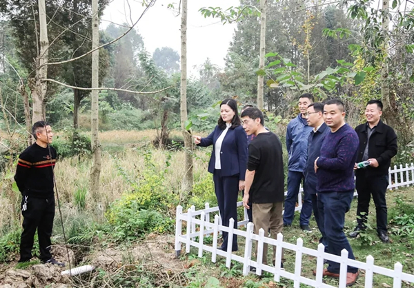 峨眉山市委副书记吴小怡督导调研污水集中处理设施建设及人居环境整治