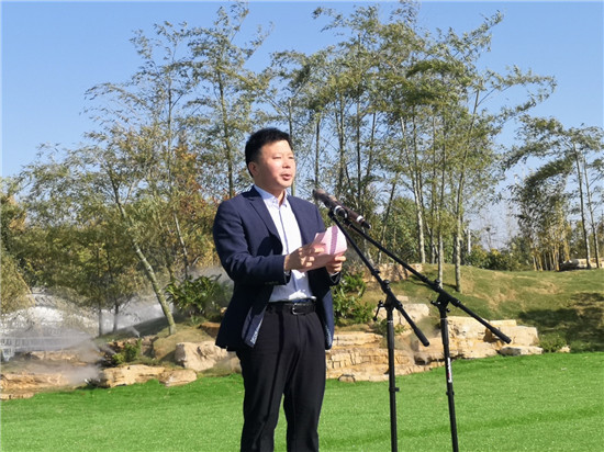 2020年第二届江苏盆景精品展在扬州江都开展
