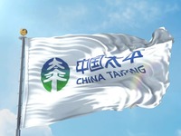 打造现代金融保险集团_fororder_taiping