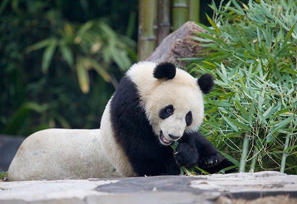 图片默认标题_fororder_1