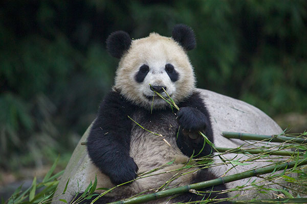 图片默认标题_fororder_2