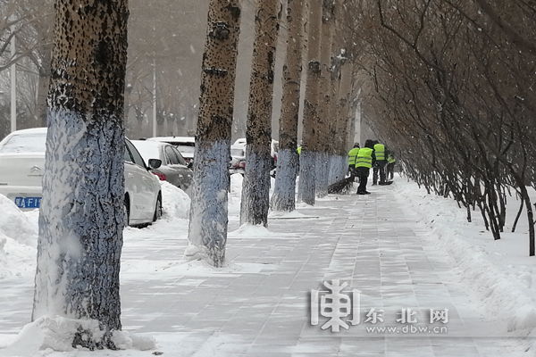 黑龙江省迎来今冬以来最大暴风雪