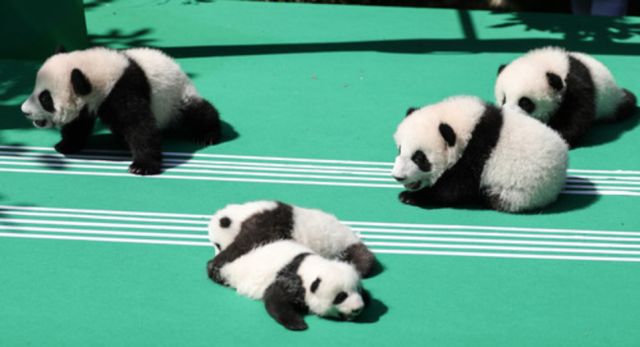 （导航成都）成都：新一线城市里的“时尚C位”