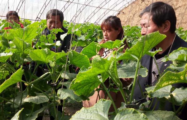 图片默认标题_fororder_3