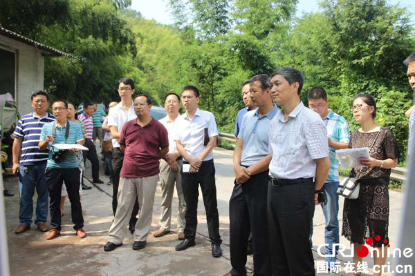 图片默认标题_fororder_叶壮副省长在听取相关负责人的汇报