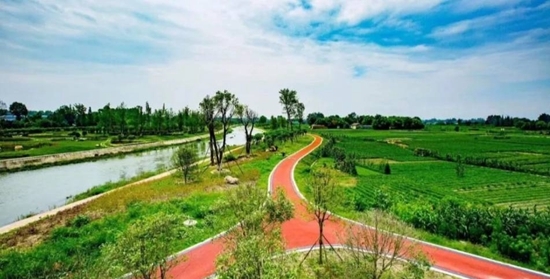 （导航成都）五问新津——全域旅游+公园城市如何建设