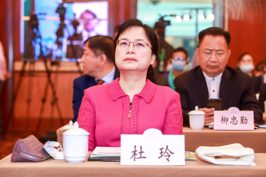 中共深圳市委常委、统战部部长杜玲女士宣布大会开幕